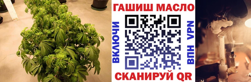 Дистиллят ТГК Wax Купить где Урус-Мартан
