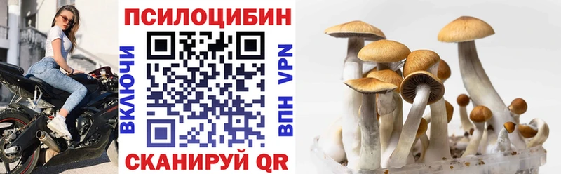 Галлюциногенные грибы MAGIC MUSHROOMS  Купить где  Урус-Мартан 